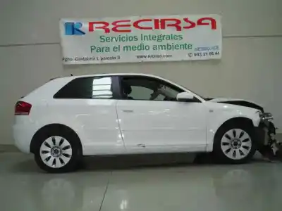 Scrapping Vehicle audi a3 (8p) 2.0 tdi s line (103kw) of the year 2008 powered bkd