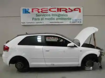 Scrapping Vehicle audi a3 (8p) 2.0 tdi s line (103kw) of the year 2008 powered bkd