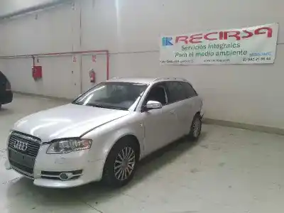 Veículo de Sucata audi a4 avant (8e) 3.0 v6 24v tdi do ano 2005 alimentado bkn
