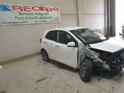 Scrapping Vehicle kia picanto (ja) edition 7 of the year 2022 powered g4lf