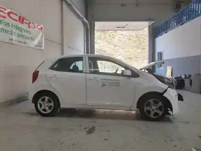 Scrapping Vehicle kia picanto (ja) concept of the year 2018 powered g3la