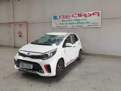 Scrapping Vehicle kia picanto (ja) gt line of the year 2019 powered g3lc