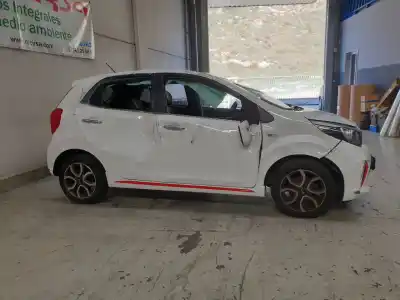 Scrapping Vehicle kia picanto (ja) gt line of the year 2019 powered g3lc