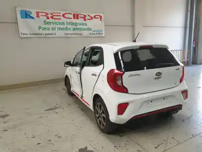 Scrapping Vehicle kia picanto (ja) gt line of the year 2019 powered g3lc