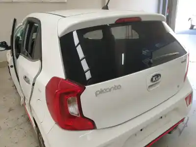 Scrapping Vehicle kia picanto (ja) gt line of the year 2019 powered g3lc