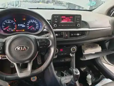Scrapping Vehicle kia picanto (ja) gt line of the year 2019 powered g3lc