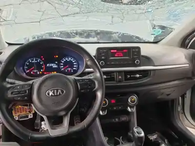 Scrapping Vehicle kia picanto (ja) gt line of the year 2019 powered g3lc