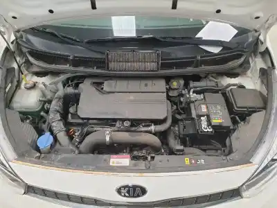 Scrapping Vehicle kia picanto (ja) gt line of the year 2019 powered g3lc