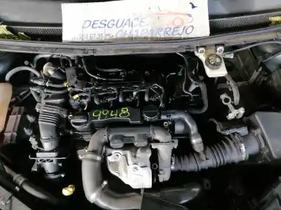 Veículo de Sucata ford focus berlina (cap) ambiente (d) do ano 2005 alimentado g8da