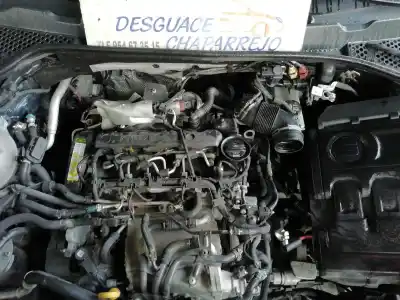 Scrapping Vehicle seat leon (5f1) reference of the year 2015 powered clh