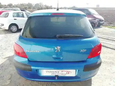 Veículo de Sucata peugeot 307 (s1) xn do ano 2006 alimentado g-nfu