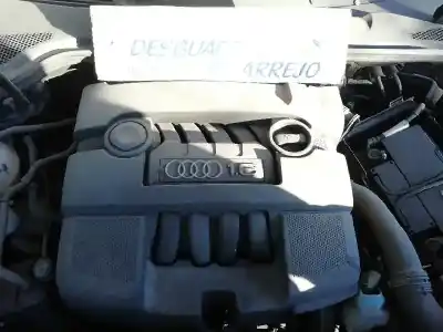 Veículo de Sucata audi a3 (8p) 1.6 ambiente do ano 2004 alimentado bgu