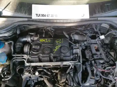 Veicolo di demolizione seat leon (1p1) 1.9 tdi dell'anno 2009 alimentato bls