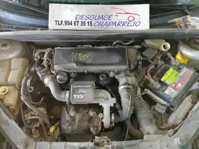 Veicolo di demolizione ford fiesta (cbk) ambiente dell'anno 2004 alimentato f6ja