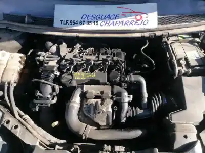 Veículo de Sucata ford focus berlina (cap) ambiente (d) do ano 2008 alimentado hhda