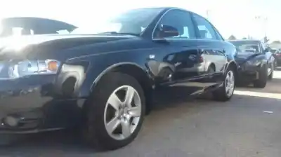 Veicolo di demolizione AUDI A4 BERLINA (8E) 2.0 TDI 16V (103kW) dell'anno 2001 alimentato BLB