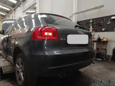 Sloopvoertuig audi a3 (8p1) 2.0 tdi 16v van het jaar 2001 aangedreven cbab