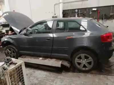 Sloopvoertuig audi a3 (8p1) 2.0 tdi 16v van het jaar 2001 aangedreven cbab