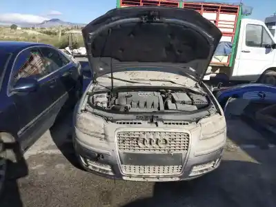 Veículo de Sucata audi a3 (8p) 1.9 tdi ambiente do ano 2001 alimentado bls