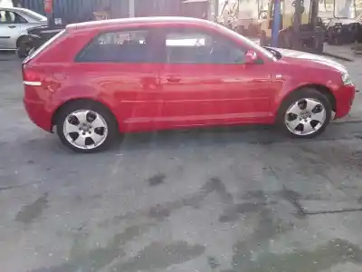Veicolo di demolizione audi a3 (8p1) 2.0 tdi 16v dell'anno 2007 alimentato bkd