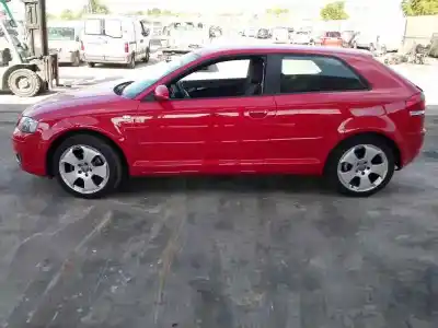 Veicolo di demolizione audi a3 (8p1) 2.0 tdi 16v dell'anno 2007 alimentato bkd