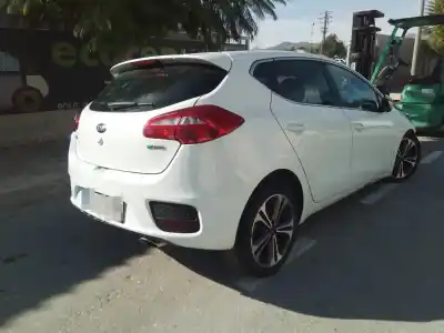 Veicolo di demolizione kia ceed drive 136 cv / 100 kw dell'anno 2017 alimentato d4fb