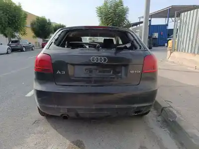 Veículo de Sucata AUDI A3 (8P) 1.6 TDI Ambiente do ano 2010 alimentado CAY