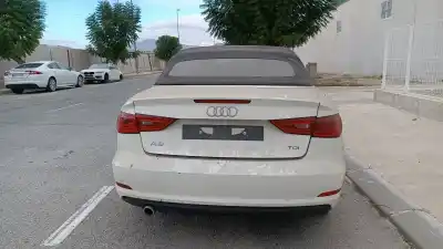 Veículo de Sucata audi a3 cabrio (8ve) basic quattro do ano 2001 alimentado crk