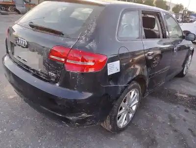 Veículo de Sucata audi a3 (8p) 1.6 tdi ambiente do ano 2001 alimentado cayc