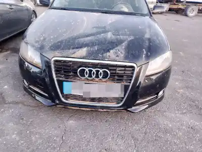 Veículo de Sucata audi a3 (8p) 1.6 tdi ambiente do ano 2001 alimentado cayc