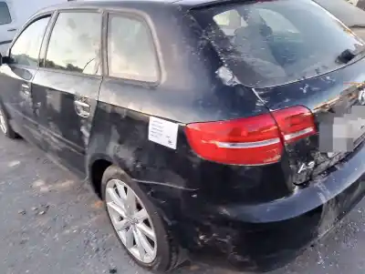 Veículo de Sucata audi a3 (8p) 1.6 tdi ambiente do ano 2001 alimentado cayc