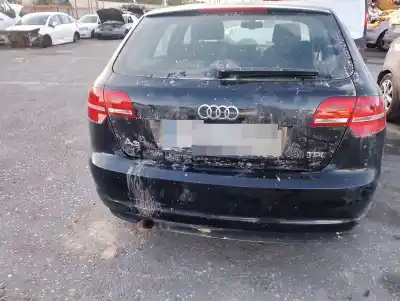 Veículo de Sucata audi a3 (8p) 1.6 tdi ambiente do ano 2001 alimentado cayc