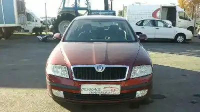 Véhicule à la ferraille SKODA OCTAVIA BERLINA (1Z3) Active de l'année 2005 alimenté BJB