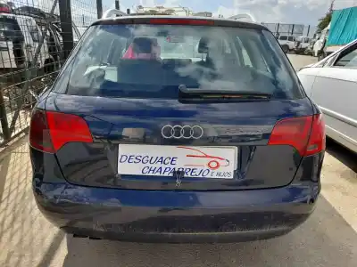 Veicolo di demolizione audi a4 avant (8e) 2.0 tdi dell'anno 2005 alimentato blb