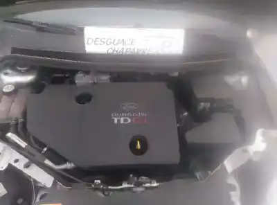Veículo de Sucata ford focus berlina (cap) ambiente (d) do ano 2006 alimentado kkda