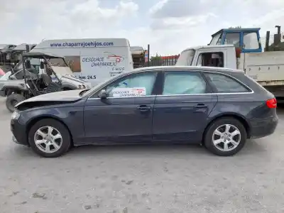 Scrapping Vehicle audi a4 avant (8k5) (2008) básico of the year 2011 powered caga