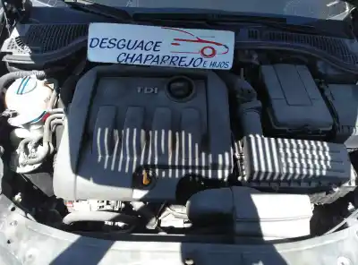 Veículo de Sucata skoda octavia berlina (1z3) active do ano 2007 alimentado bxe