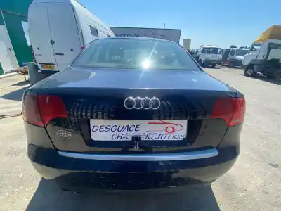 Scrapping Vehicle audi a4 berlina (8e) 2.0 tdi 16v (103kw) of the year 2005 powered blb