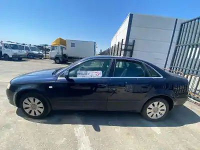 Scrapping Vehicle audi a4 berlina (8e) 2.0 tdi 16v (103kw) of the year 2005 powered blb