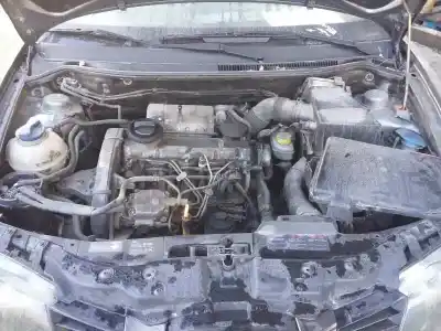 Veículo de Sucata seat ibiza (6l1) stella do ano 2003 alimentado asy