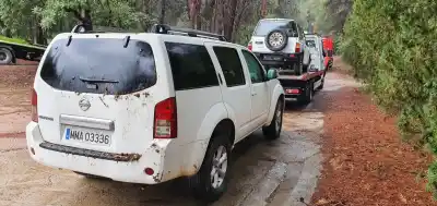 Veicolo di demolizione nissan pathfinder (r51) 2.5 dci xe dell'anno 2008 alimentato yd25