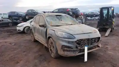 Veicolo di demolizione FORD KUGA III (DFK) 1.5 ECOBOOST dell'anno 2024 alimentato YZDA,YZDB