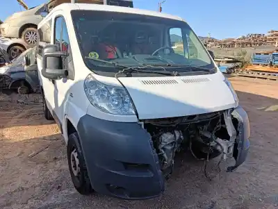 Véhicule à la ferraille FIAT DUCATO FURGÓN (250_)  de l'année 2014 alimenté 250A1000