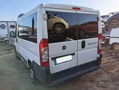 Hurda Aracı fiat ducato furgón (250_) 115 multijet 2,0 d yılın 2014 güçlü 250a1000