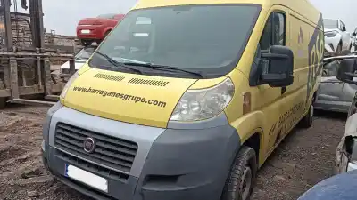 Sloopvoertuig FIAT DUCATO FURGÓN (250_)  van het jaar 2007 aangedreven F1AE0481D