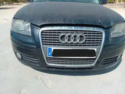 Veículo de Sucata audi a3 (8p1) 2.0 tdi 16v do ano 2005 alimentado bkd