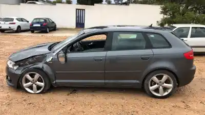 Scrapping Vehicle AUDI A3 (8P) 2.0 TDI Limited Edition (103kW) of the year 1983 powered CFF