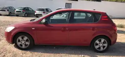 Veículo de Sucata kia ceed (ed) 1.6 concept do ano 0 alimentado d4fb