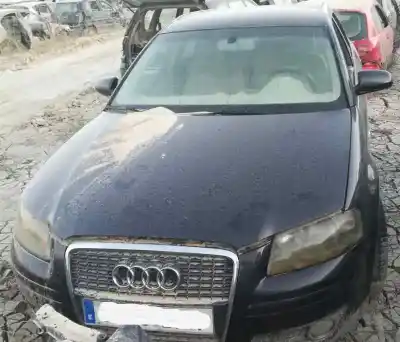 Scrapping Vehicle audi a3 (8p) 2.0 tdi ambiente (dpf) of the year 2005 powered bkd