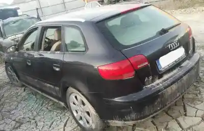 Veículo de Sucata AUDI A3 (8P) 2.0 TDI Ambiente (DPF) do ano 2005 alimentado BKD